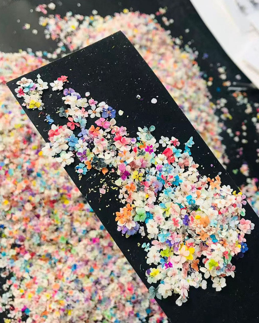 1 Box of Colorful Real Dried Flowers for Nail Art