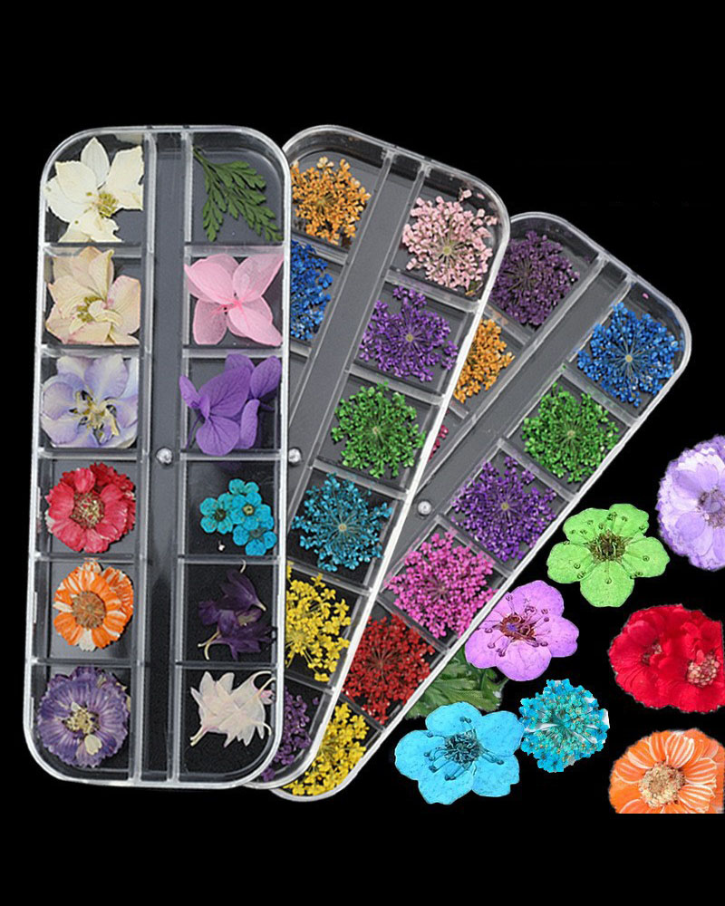 12 Colors Pressed Flowers for Nail Art