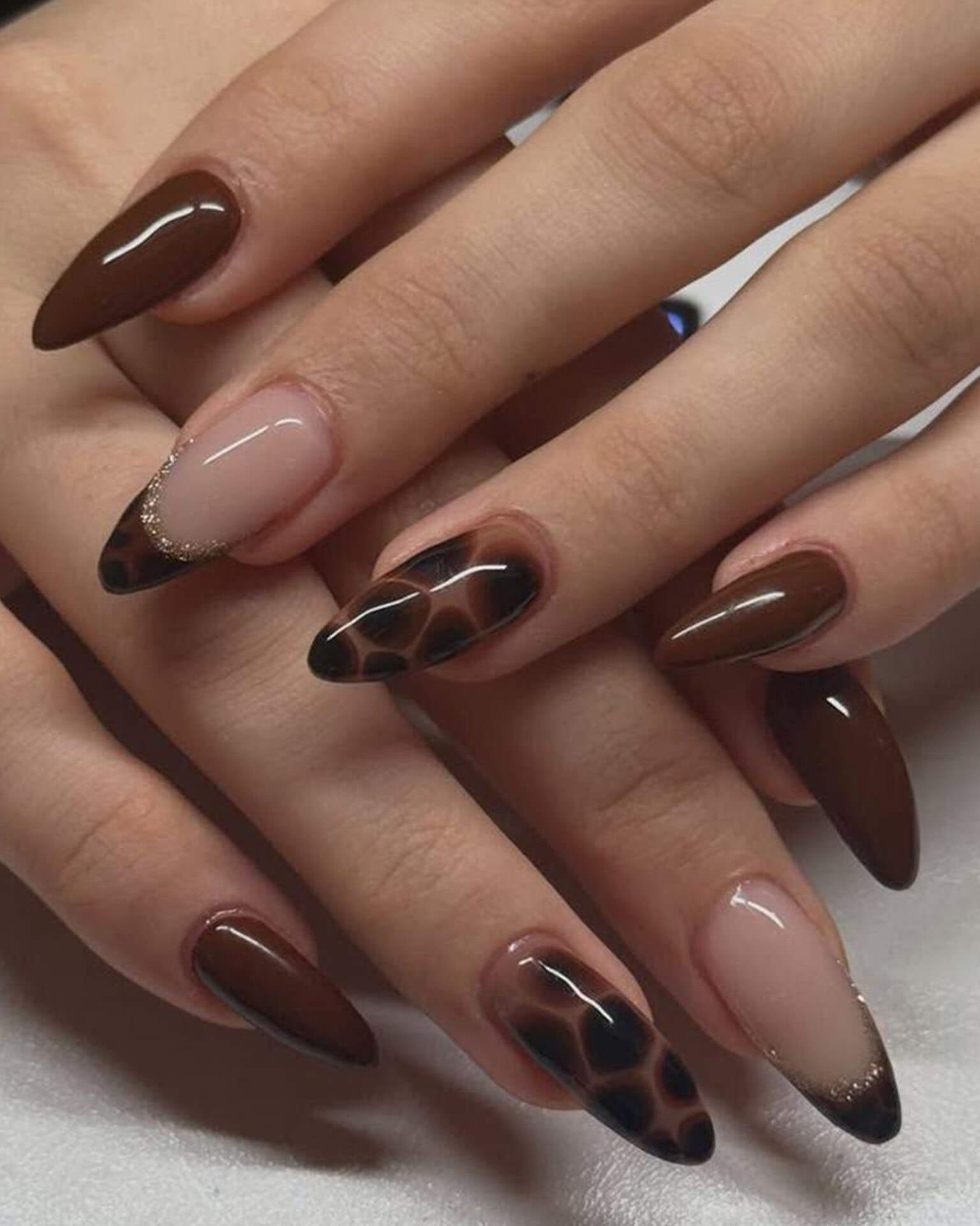 Classic French Leopard Print Nails Short Bulk - Image 2